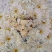 Emily Kush Boul's photo