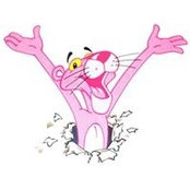 Amy Costello's photo