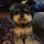 melanie_wright56