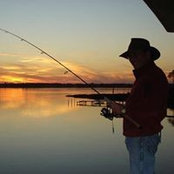Ron Wells's photo