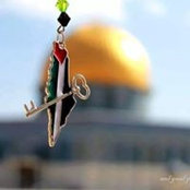 Yazeid Al-Saidさんの写真