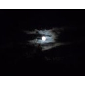 Donna P Hess's photo