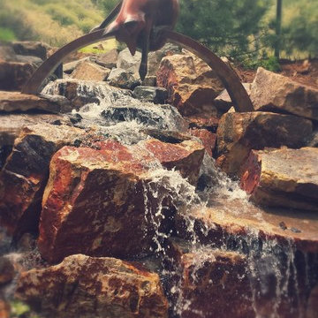 Foxy Colorado Stream