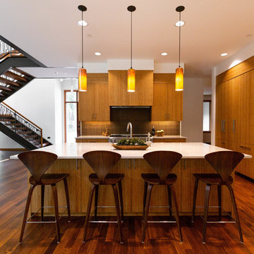 Northwest Contemporary - Beaver Lake