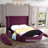 Luxus Velvet Upholstered Bed, Purple, Queen