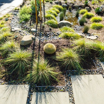 Garden 9 in Palms