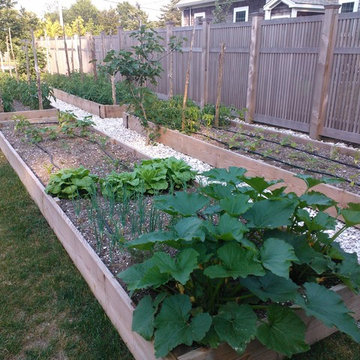 Raised Vegetable Beds
