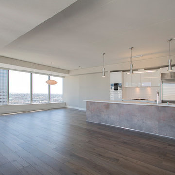 Down Town Chic and Modern Kitchen Remodel