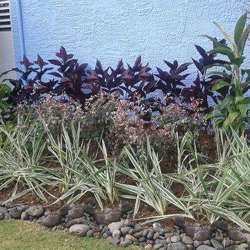 Charming up a Caribbean-colonial front yard