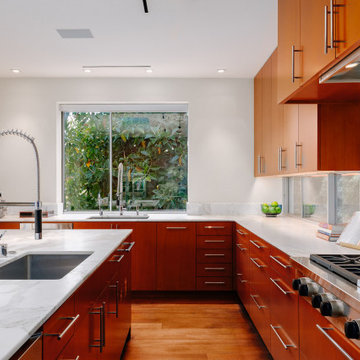 Beverly Hills Modern