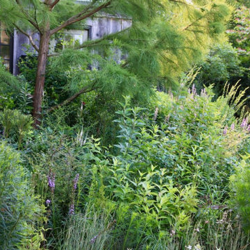 Narberth, PA - Landscape Restoration & Hardscaping