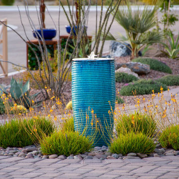 A Stroll through a Tucson Neighborhood