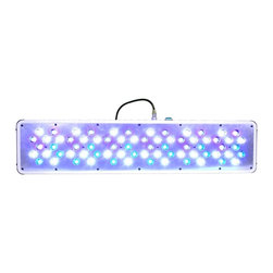 LED Aquarium Light - Products