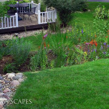 Rain Gardens