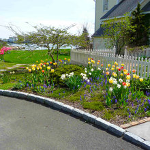 bulb garden