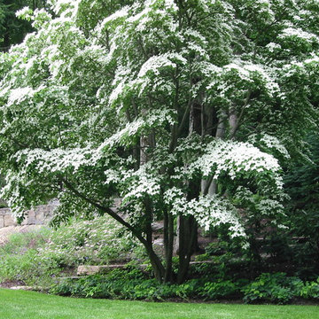 Front Masonry, Garden Beds, Urns- Armonk, 10504