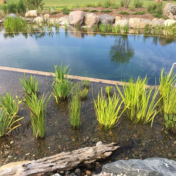 Pond in the Fields