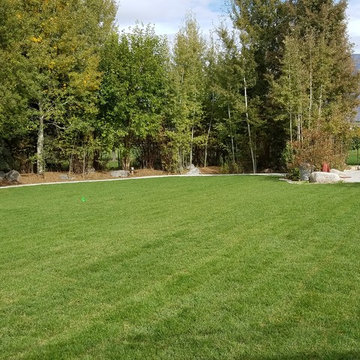 Landscaping Vineyard