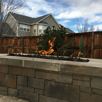Highlands Ranch Landscape Renovation