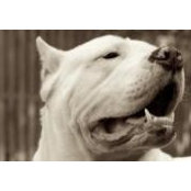 Tommi Tee's photo