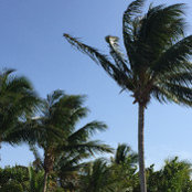 Susan Trudeau's photo