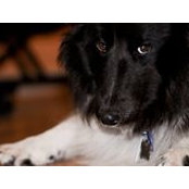 John Quackenbush's photo