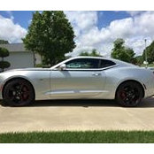 Danny Roberts's photo