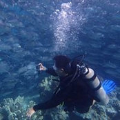 Jian Shin's photo
