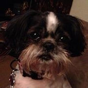 Cassandra Parrish's photo