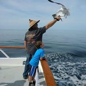 Walter Edward's photo