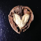 Lori Chase's photo