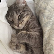 Kimberly Kowan's photo