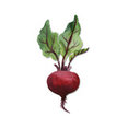 EcoCultures's profile photo