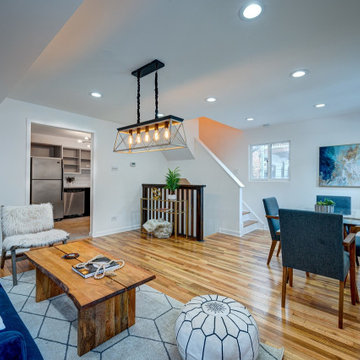 Lincoln Park 3 level - complete renovation to sell
