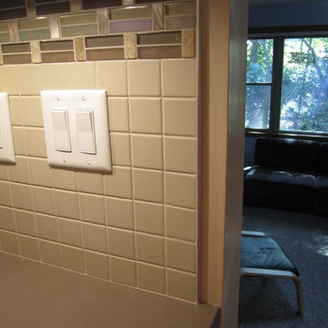 Modern/Contemporary Panna Cotta Kitchen Remodel w/Ginger color Quartz Countertop