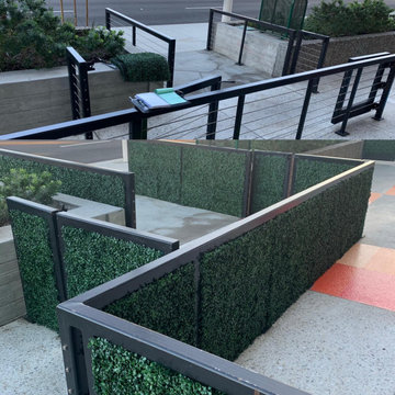 boxwood frontfence