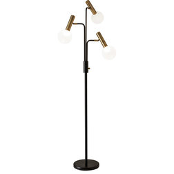 Transitional Floor Lamps by HedgeApple