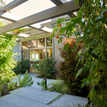 Oakland Hills Hideaway