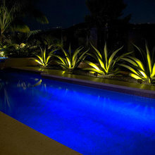 Pool Pics