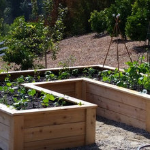 Kitchen Garden