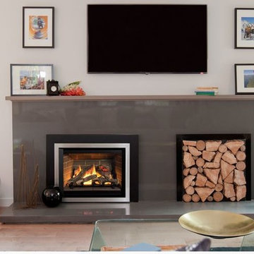 Contemporary Fireplace Inserts