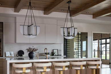 Trendy kitchen photo in Toronto