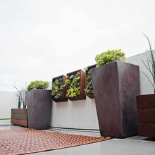 Back yard and rooftop