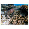 Coral Ceramic Tile Wall Mural HZ500417-43S. 17" x 12.75"