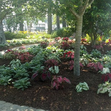 Landscape Ideas