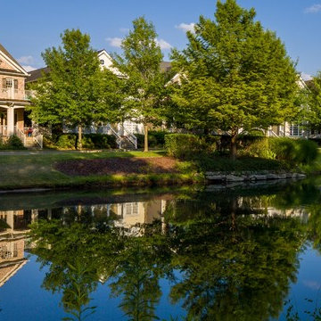Westhaven Streetscape Photography