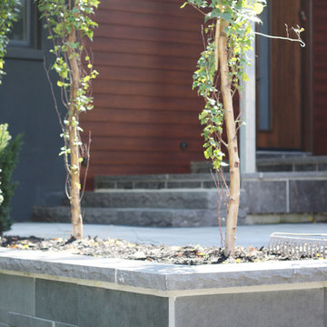 Bathurst and Wilson - Modern Style