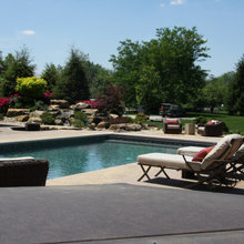 Inground Pool Patio Landscape