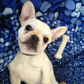 Jenn Chiu's photo