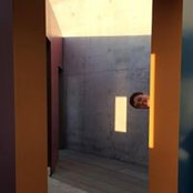 Matt Shelley's photo
